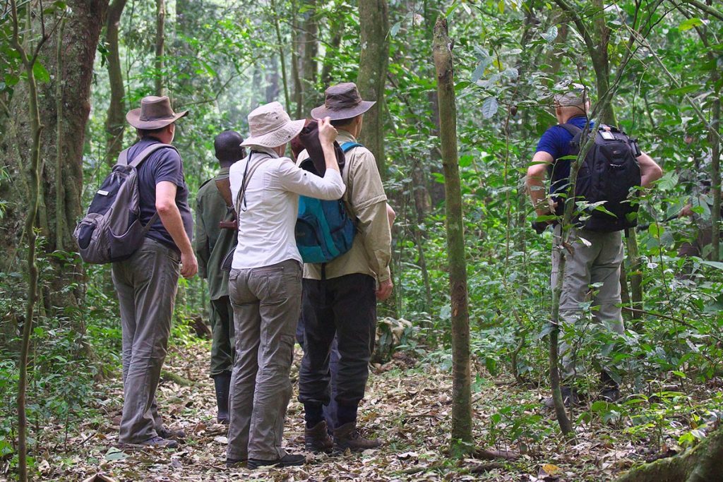Activities Activities In Kibale National Park 1024x683 1