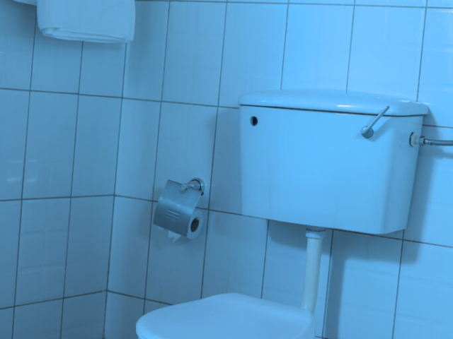 IMG 0100 683x1024 640x480 C