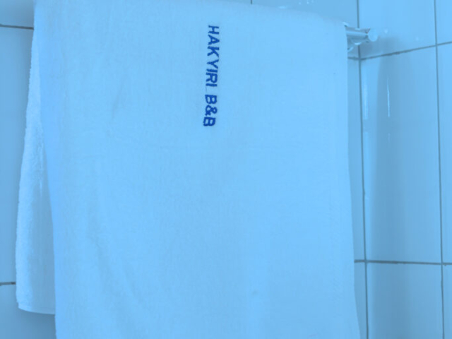 IMG 0105 683x1024 640x480 C