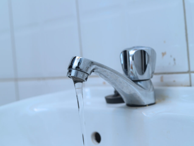 IMG 9978 1024x683 640x480 C